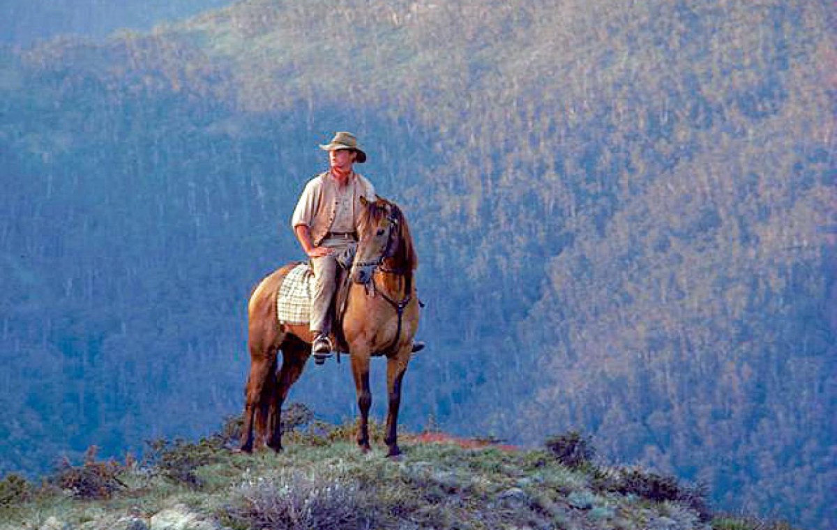 Snowy burlinson fib definitive documentary falter horsemanship excitement superb