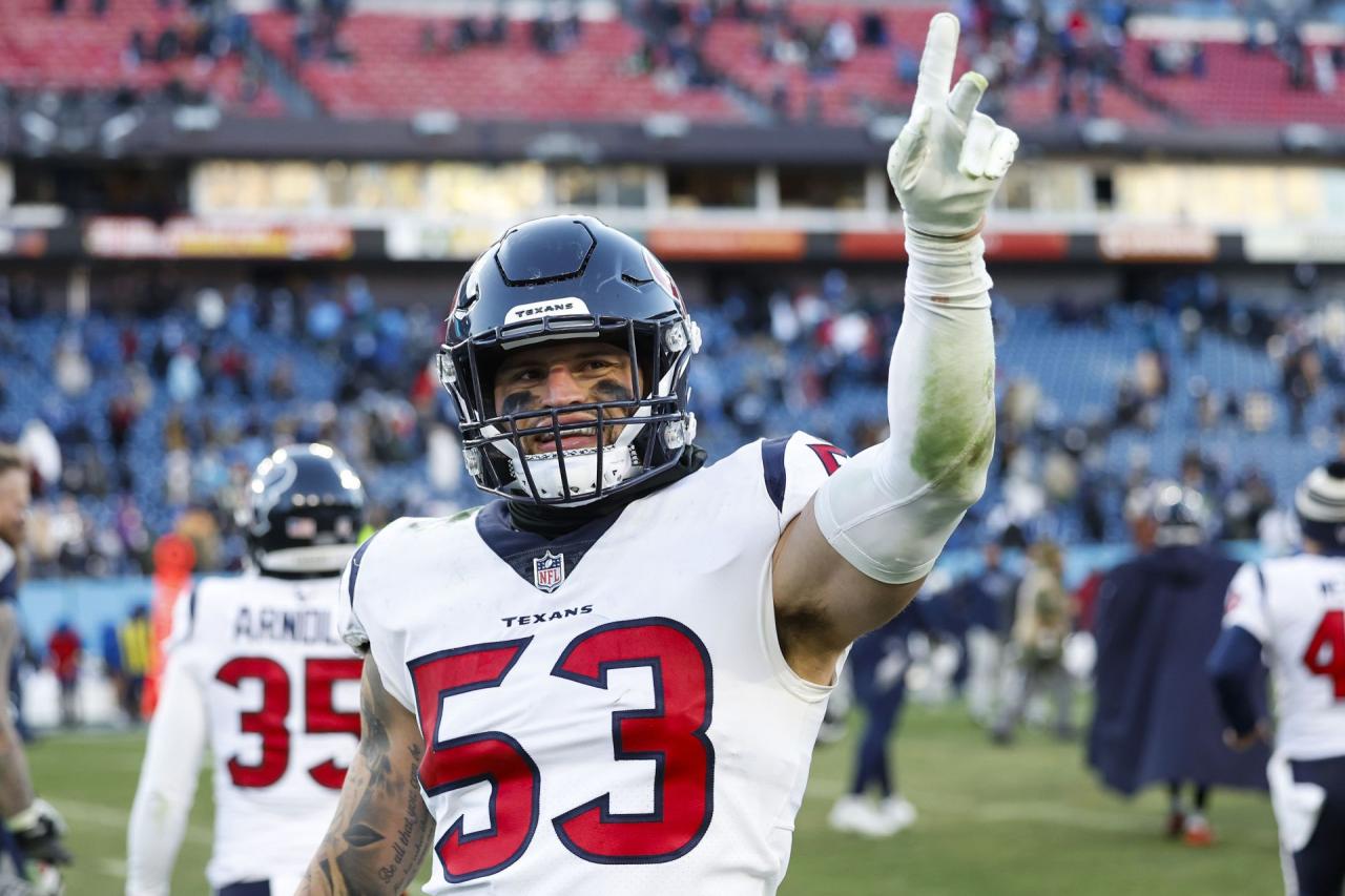 Texans titans houston