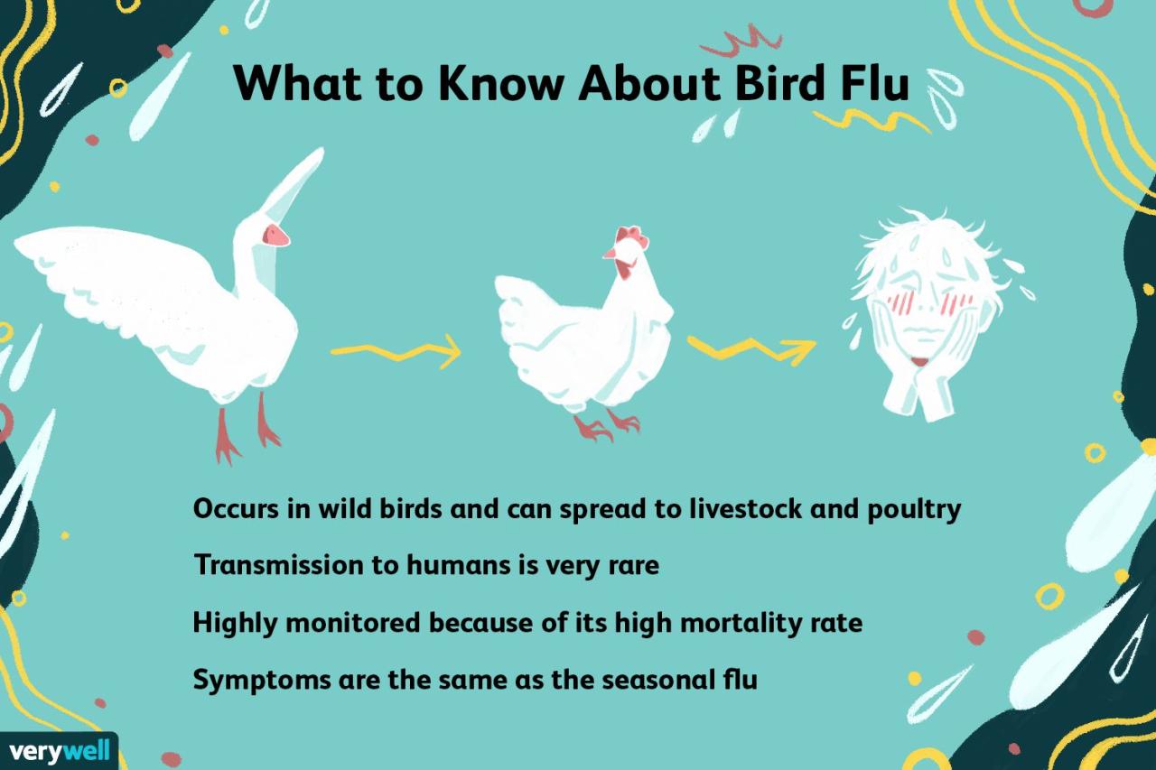Bird flu virus transmission risk from raw milk consumption